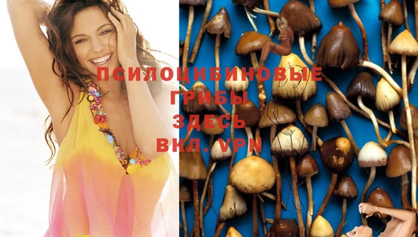 PSILOCYBIN Абаза