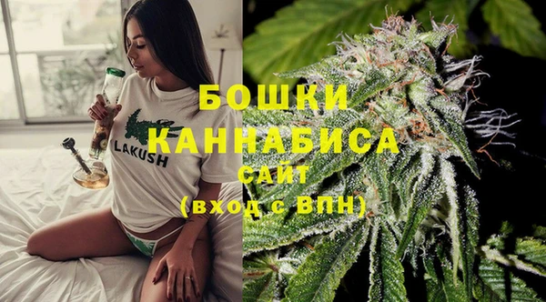 PSILOCYBIN Абаза